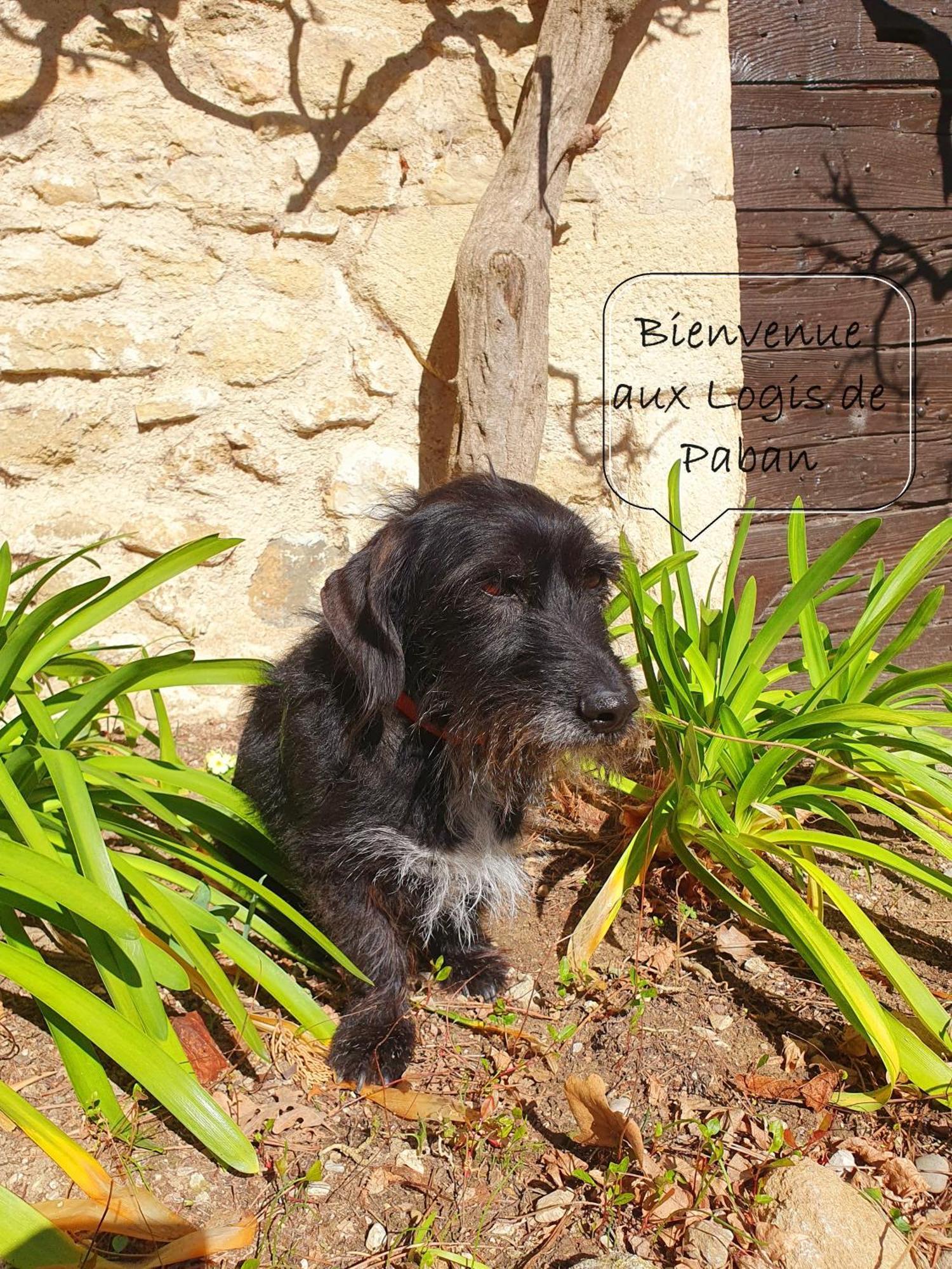 Bed and Breakfast Les Logis De Paban Crestet Экстерьер фото